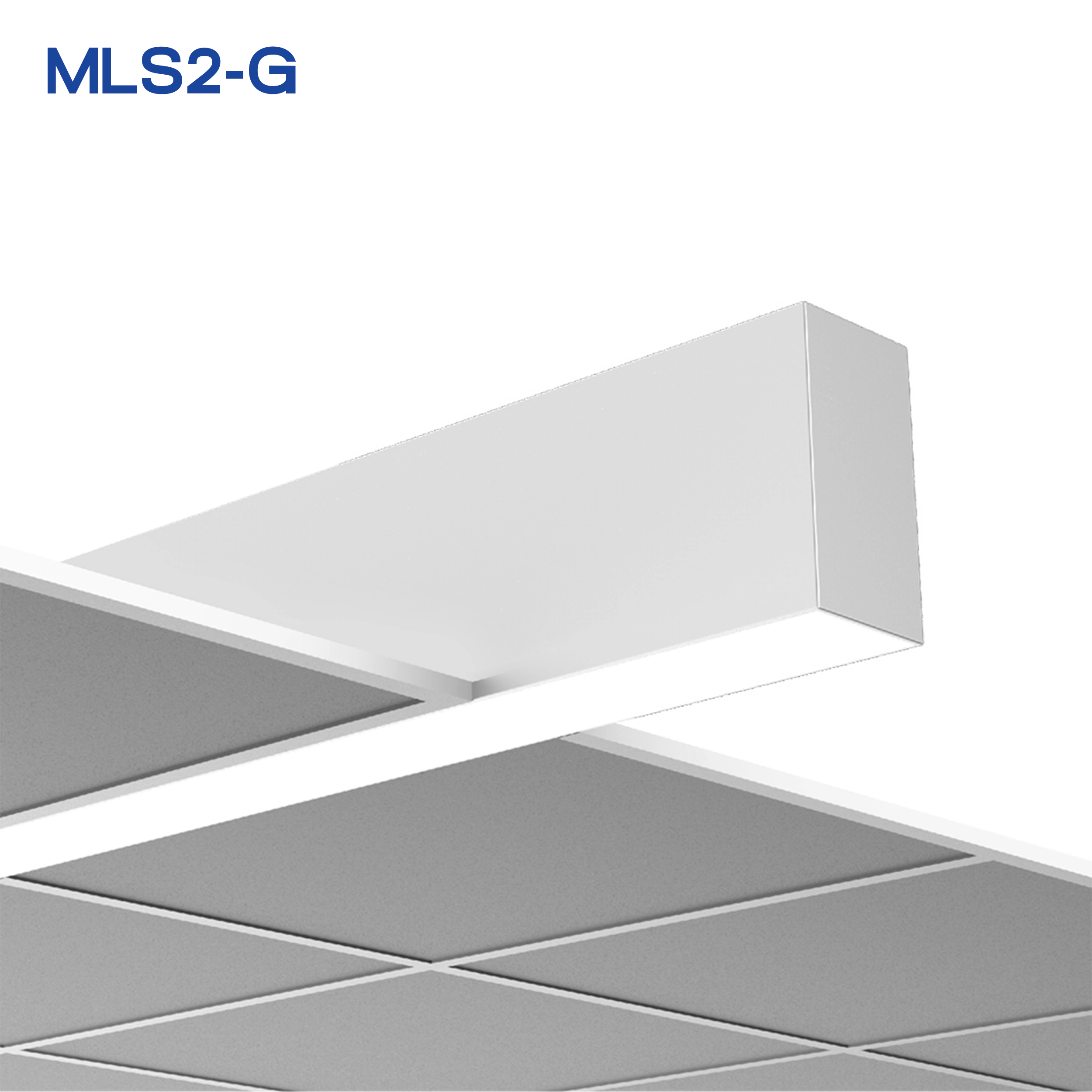 MLS2-G_A_PRODUCT_2500X2500