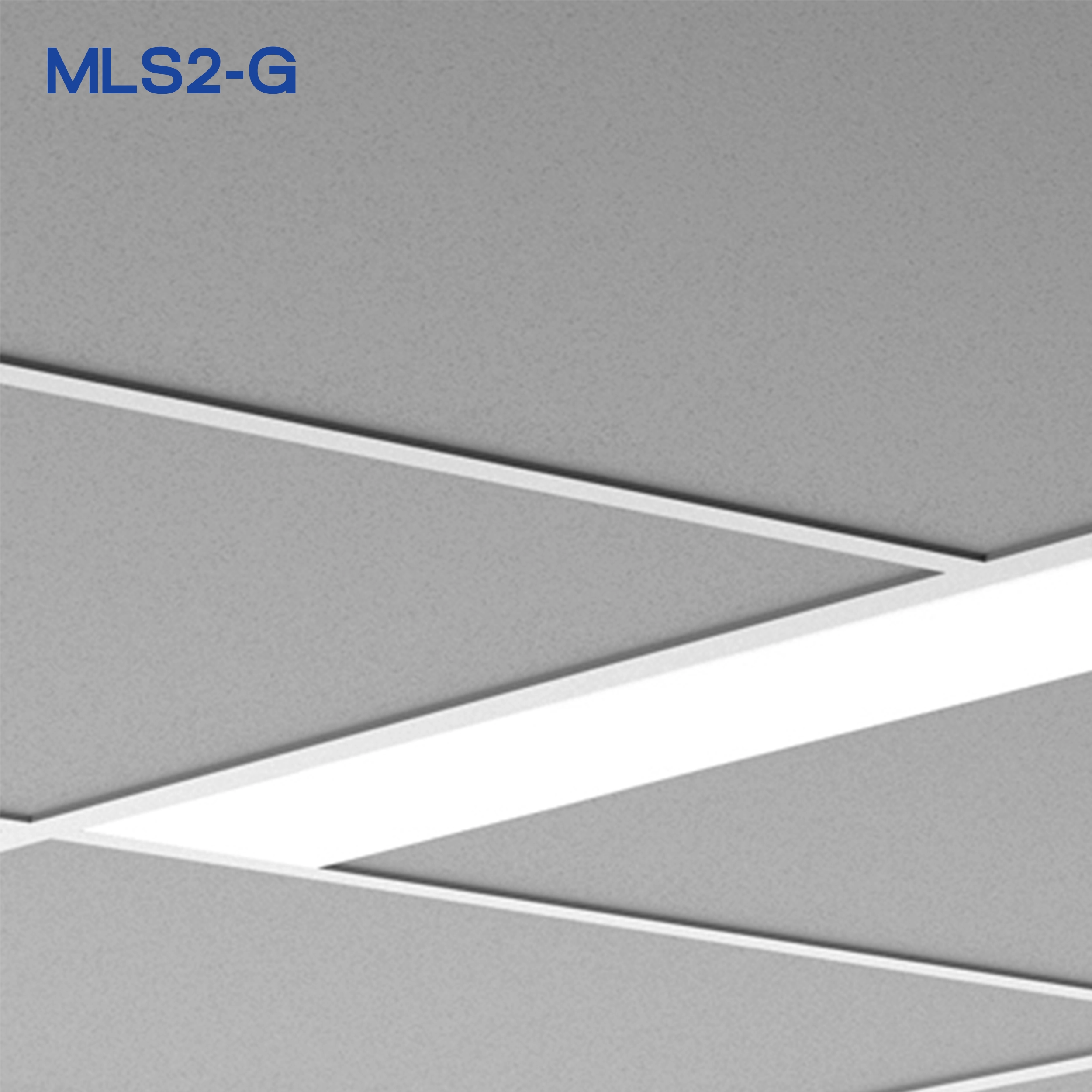 MLS2-G_B_PRODUCT_2500X2500